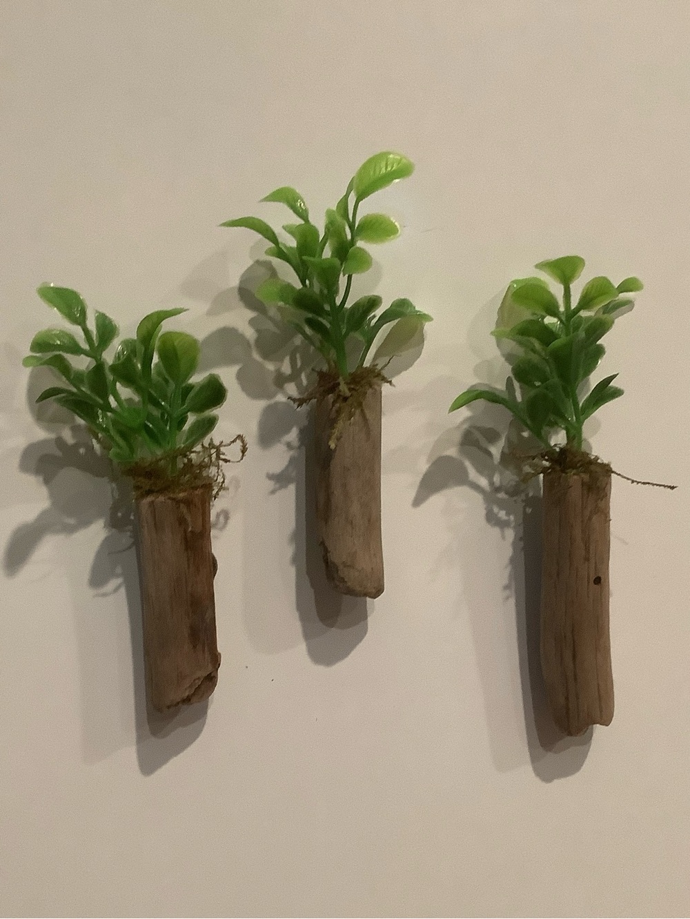 Driftwood Art, Driftwood Faux Plant Magnets, Driftwood Faux Greenery Coastal
